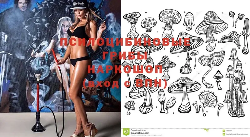 mega зеркало  Надым  Галлюциногенные грибы Psilocybe  где можно купить  